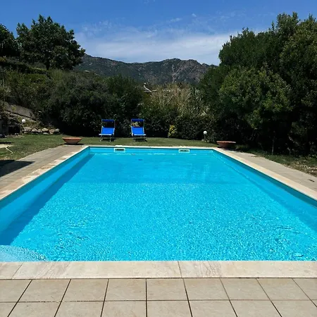 Foresta Sul Mare Poggio dei Pini