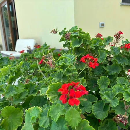 Casa vacanze Foresta Sul Mare