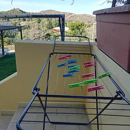 Foresta Sul Mare Poggio dei Pini