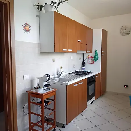 Foresta Sul Mare Poggio dei Pini