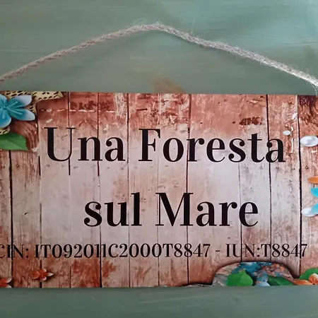 Foresta Sul Mare Semesterbostad