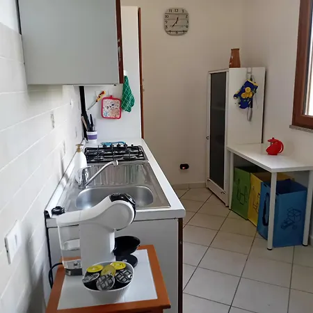 Foresta Sul Mare Poggio dei Pini